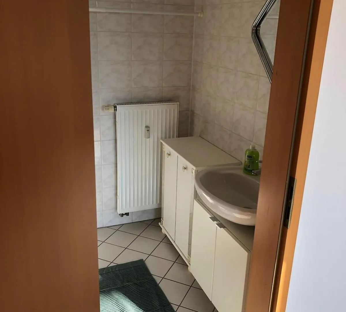 Helle 1Raum Wohnung Apartment Mit Balkon Und Kueche Dresden
