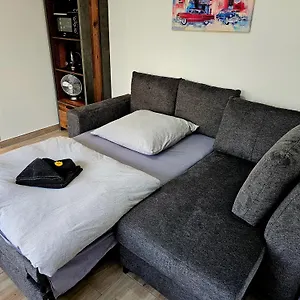 Spatzennest Dresden